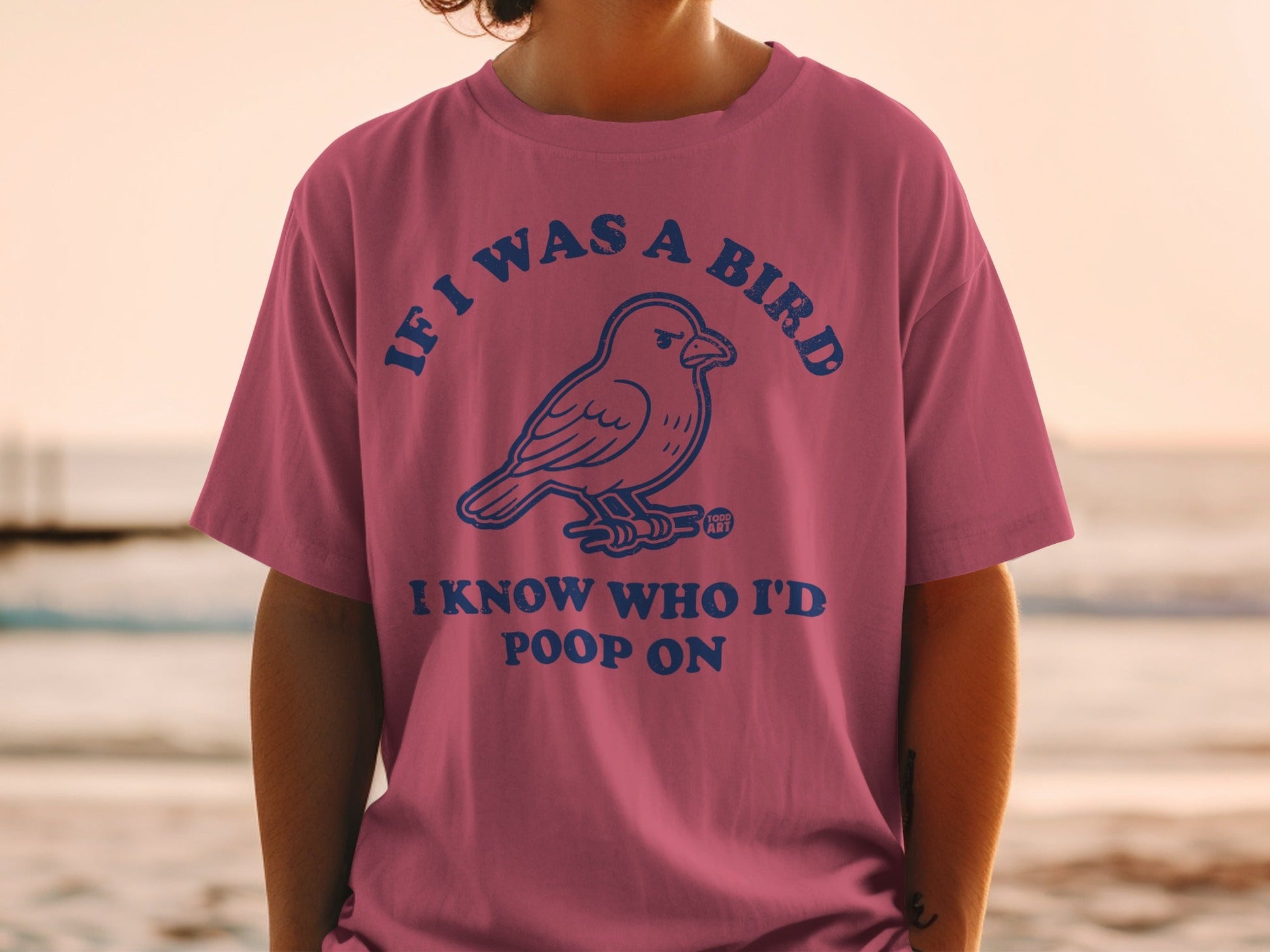 If I Was A Bird I Know Who I'd Poop On T-shirt