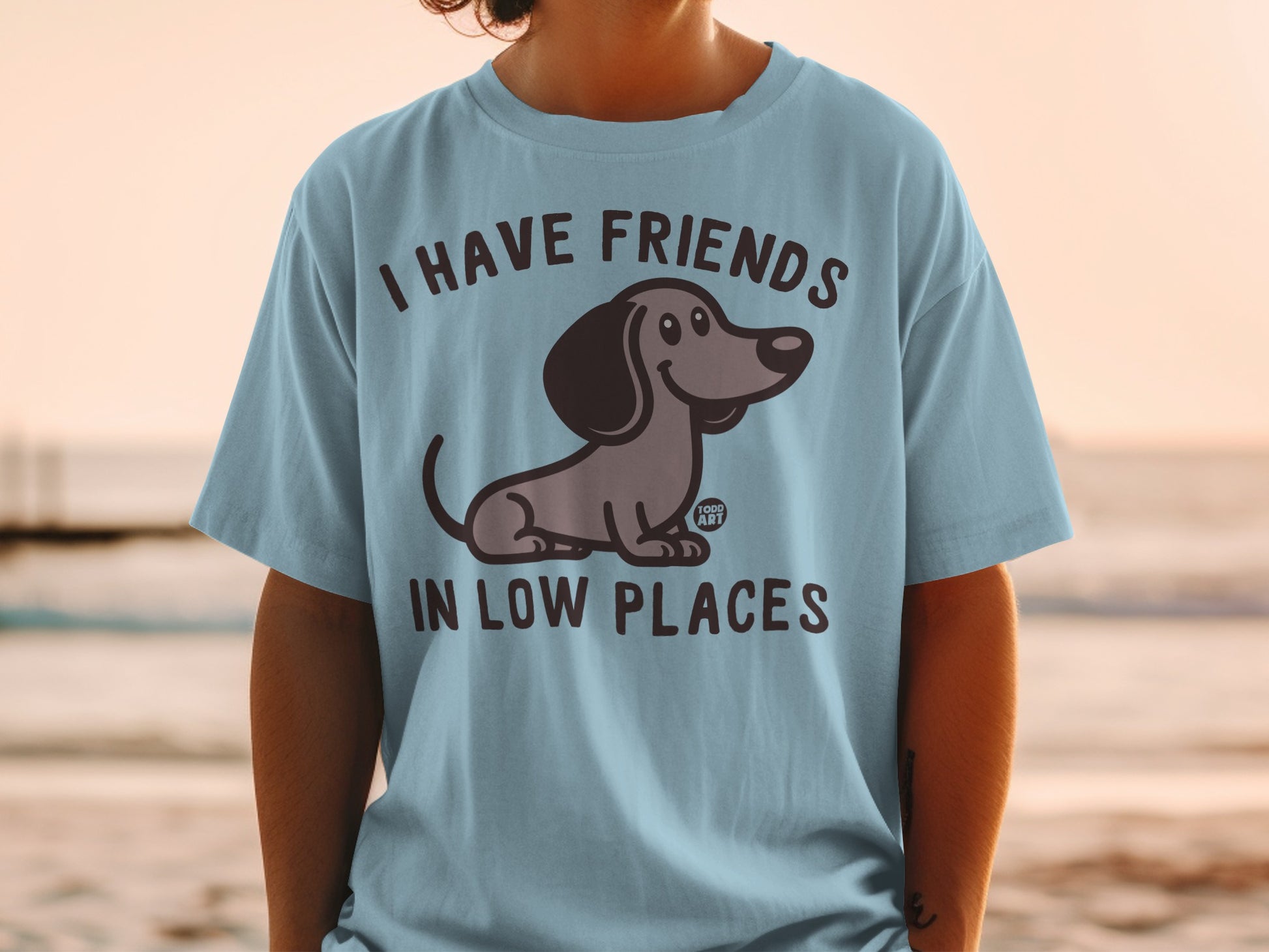 I Have Friends In Low Places Graphic Tee