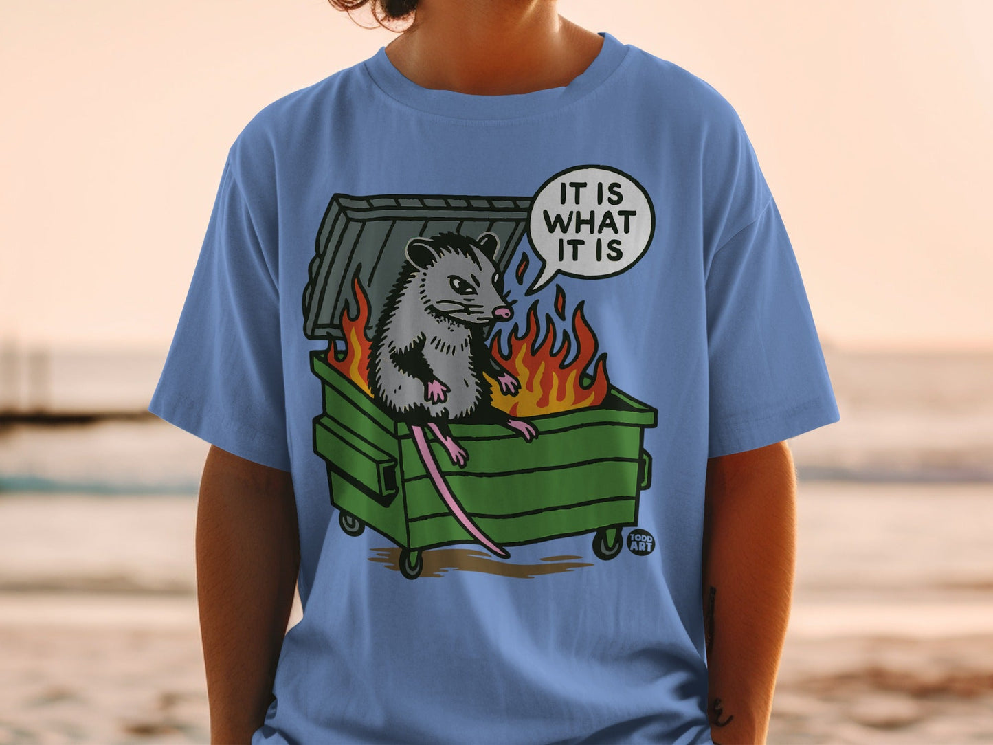 Opossum sitting in a burning dumpster with "It is what it is" text.