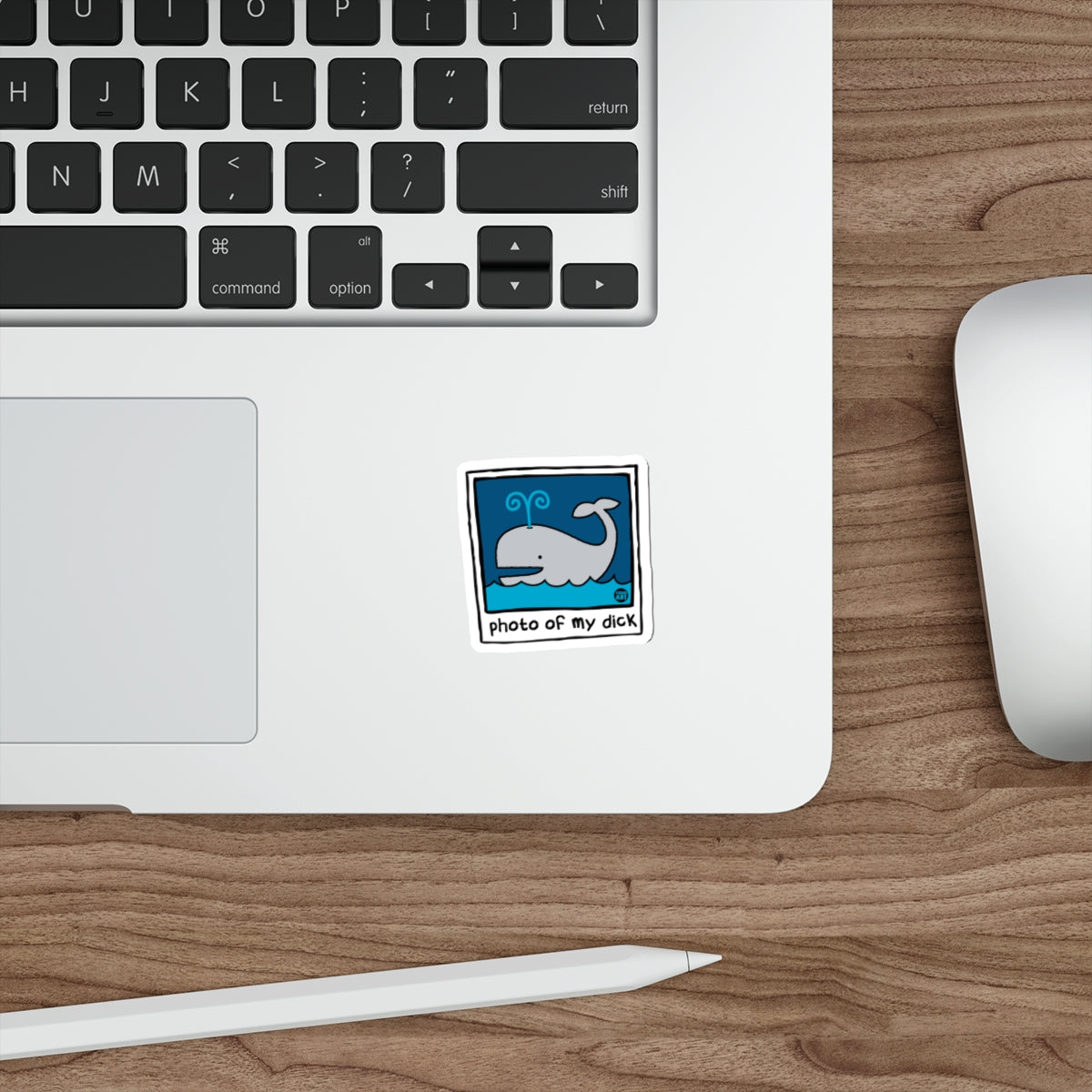 Photo of My Dick Whale Art Funny Sarcastic sticker