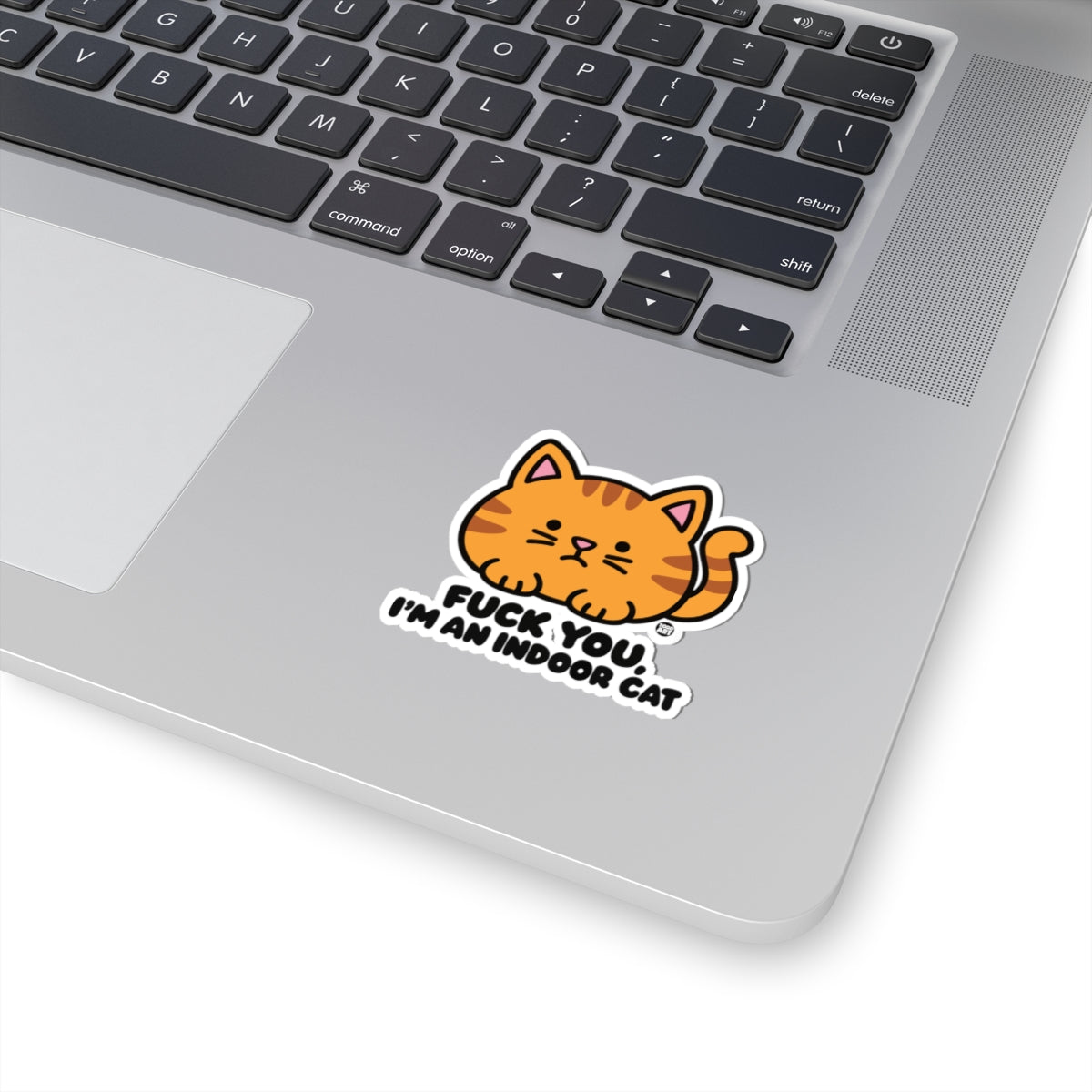 fuck-you-indoor-cat-cute