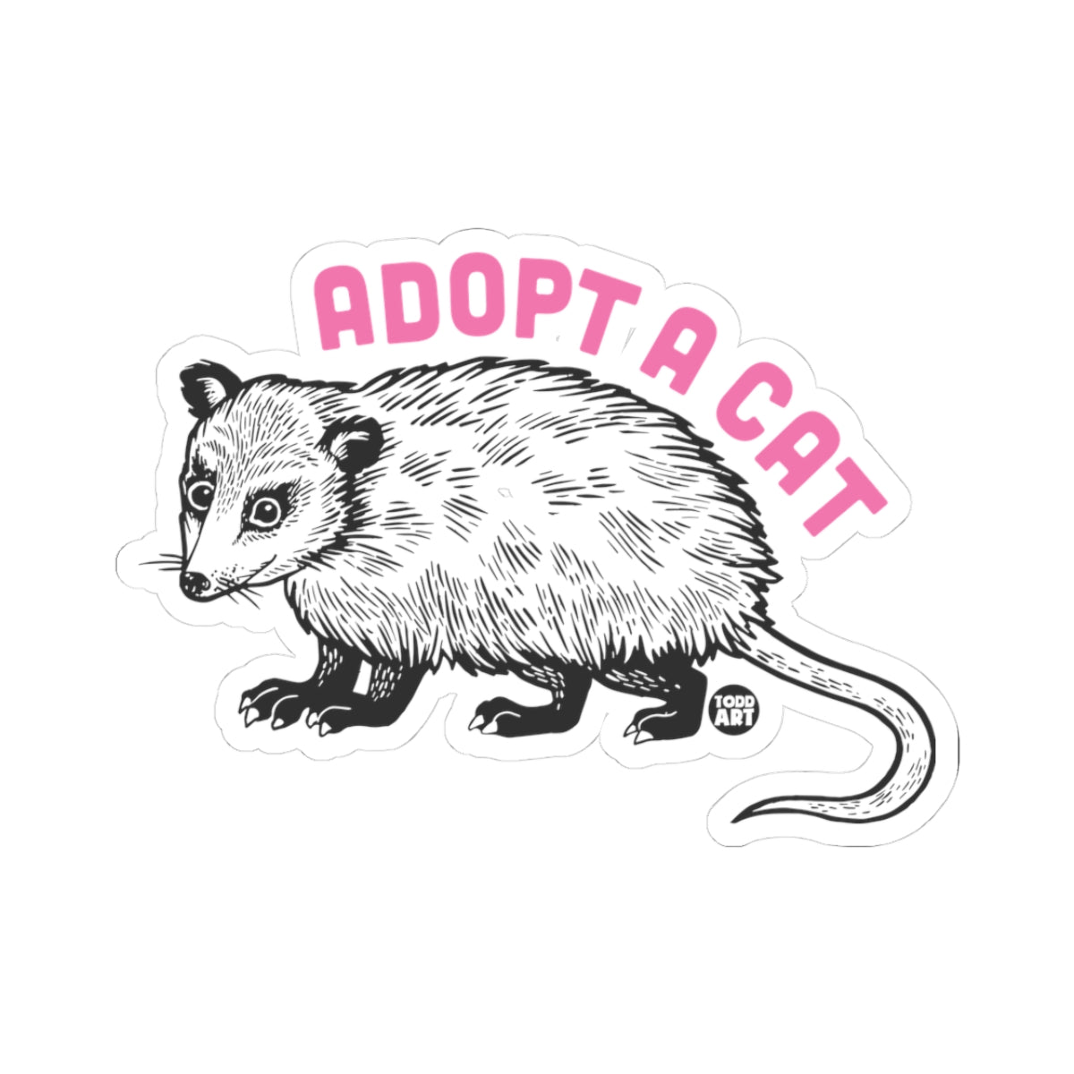 adopt-a-cat-possum