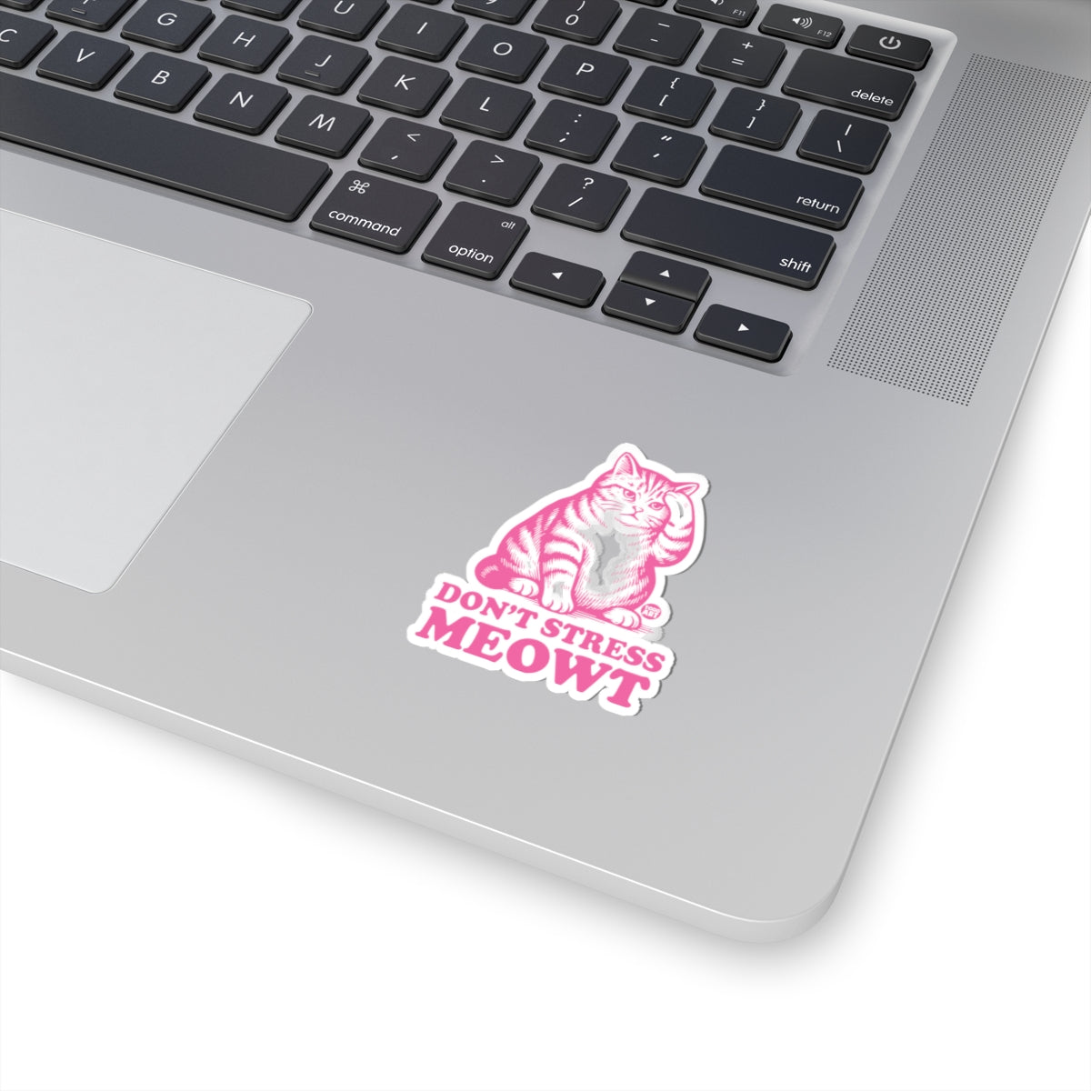 Chill CatTodd Art Sticker