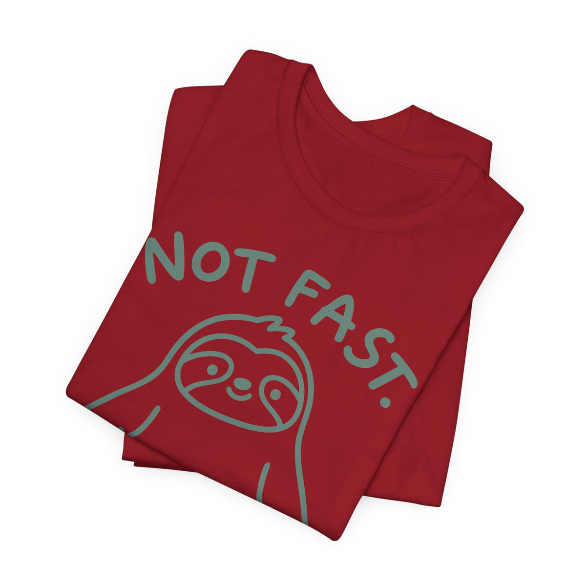 not-fast-furious