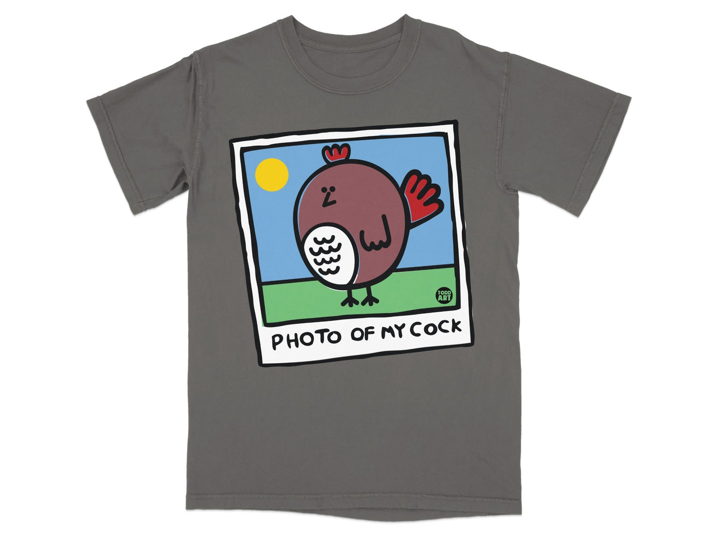 Gray t-shirt with "PHOTO OF MY COCK" and a cartoon bird illustration.