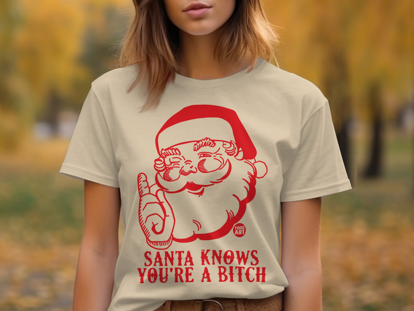 Santa Knows You're A Bitch Funny Holiday Shirt