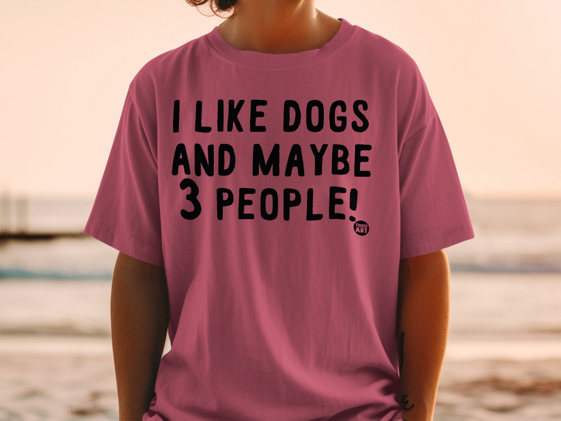 I Like Dogs and Maybe 3 People Funny Graphic Shirt