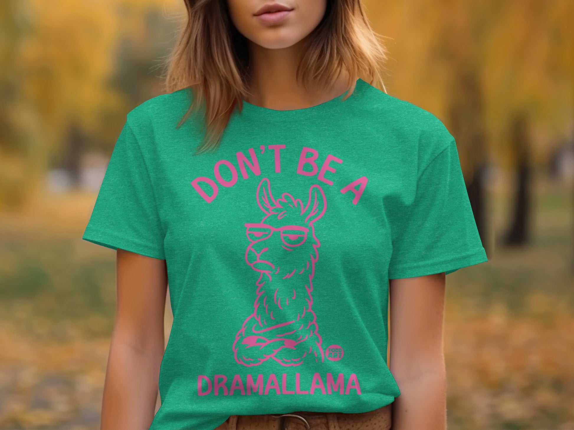 Don't Be a Dramallama Graphic T-Shirt