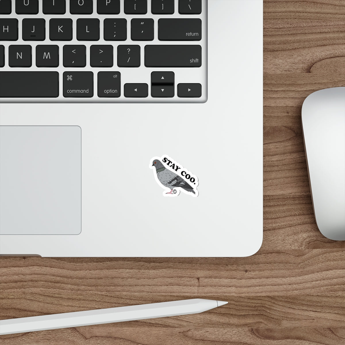 Pigeon Sticker with Stay Cool Text for Your Laptop