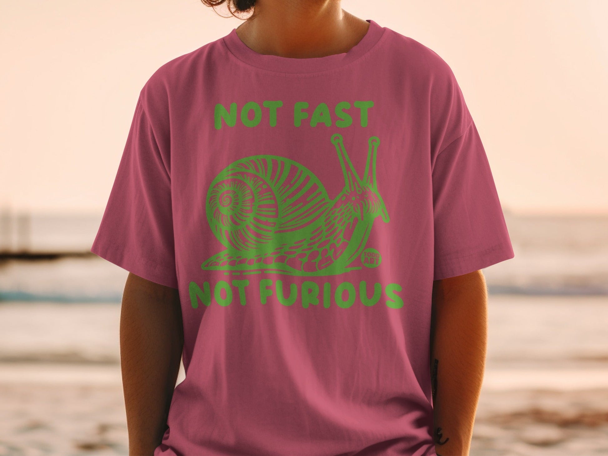 Not Fast Not Furious Snail Graphic Design T-Shirt