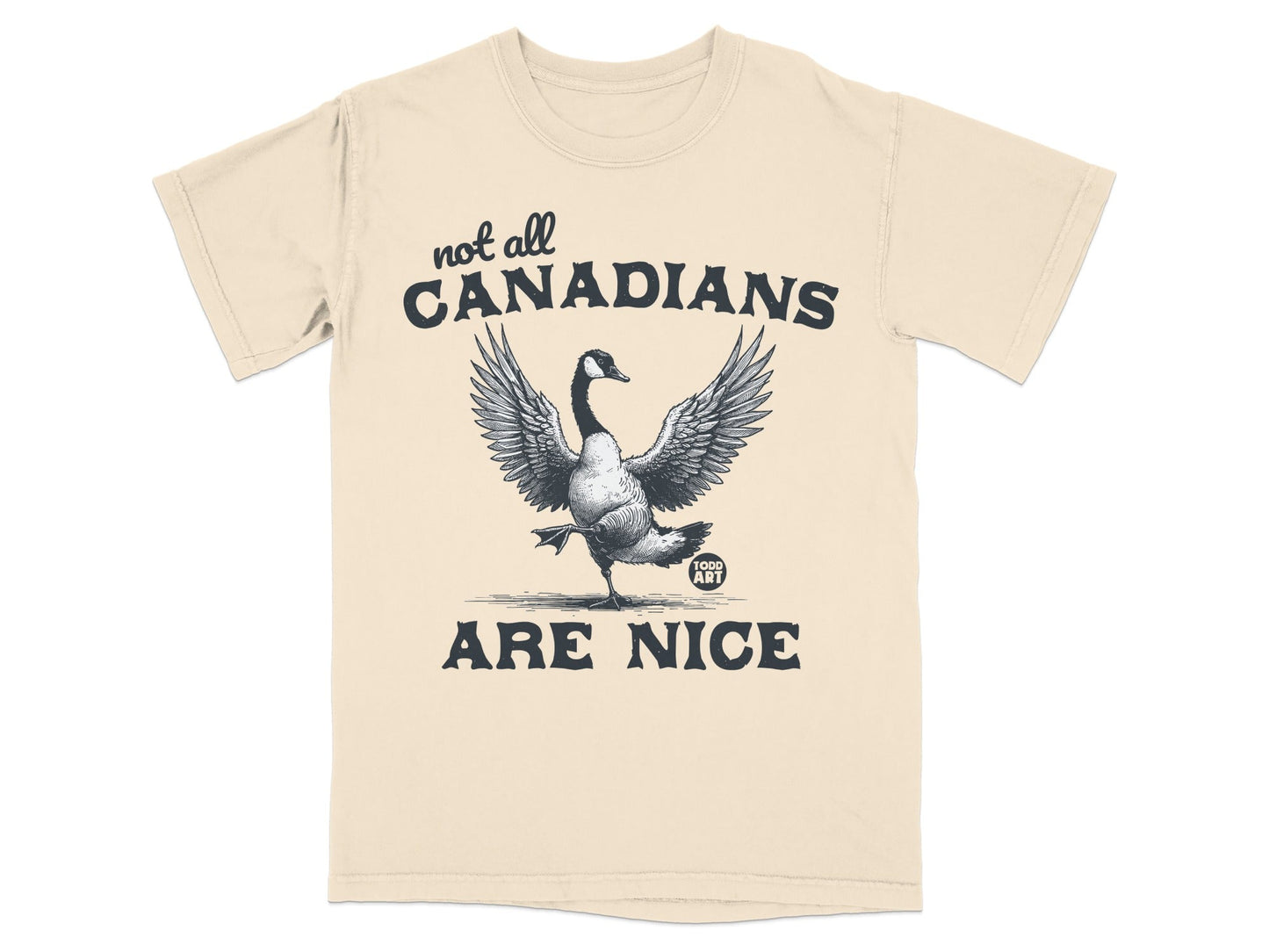 Not All Canadians Are Nice Funny Graphic T-shirt