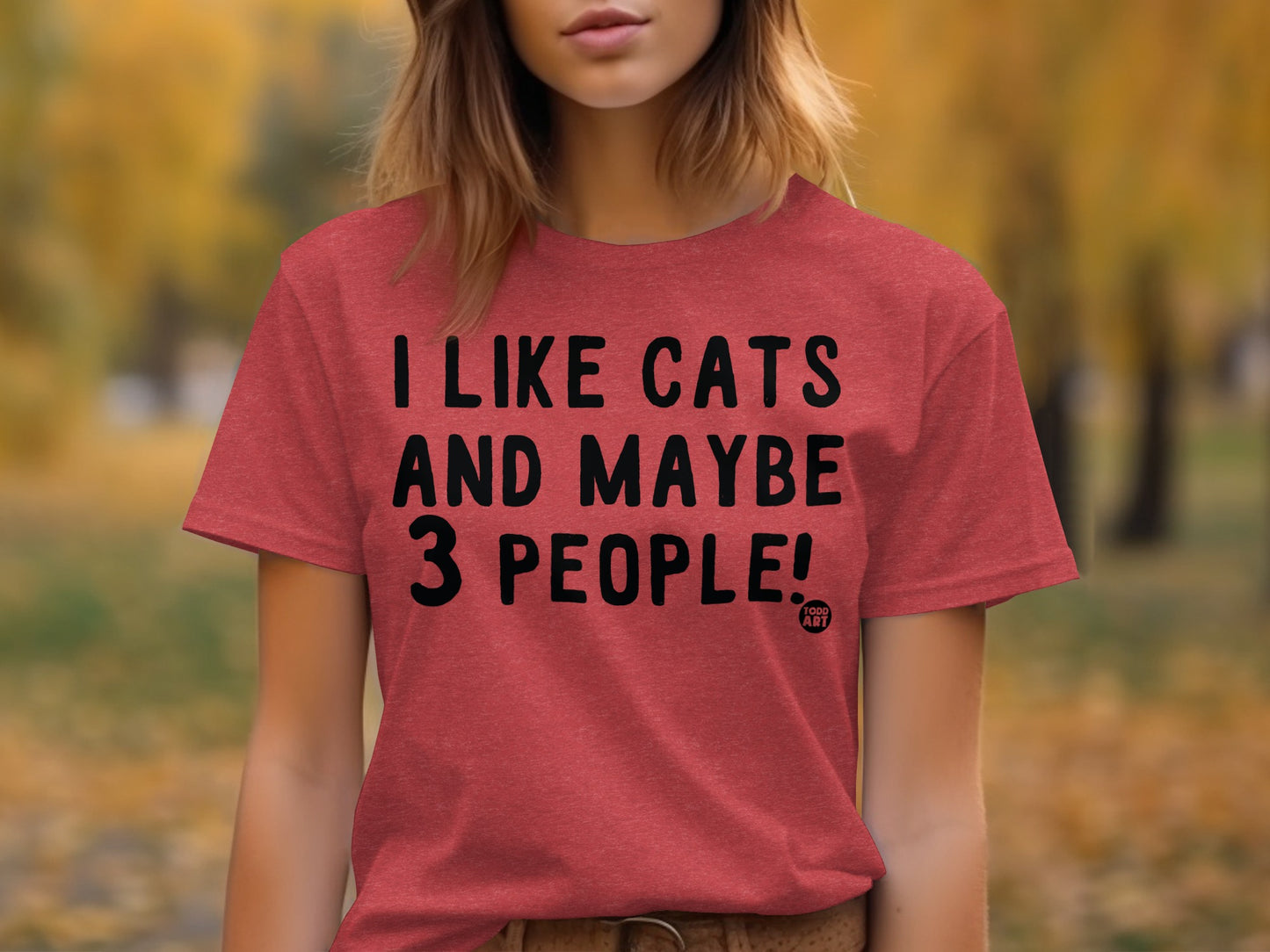 I Like Cats And Maybe 3 People Graphic Tee Shirt