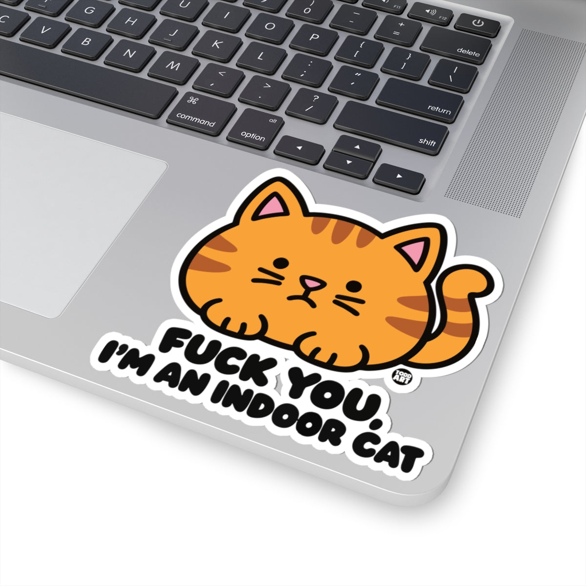 fuck-you-indoor-cat-cute