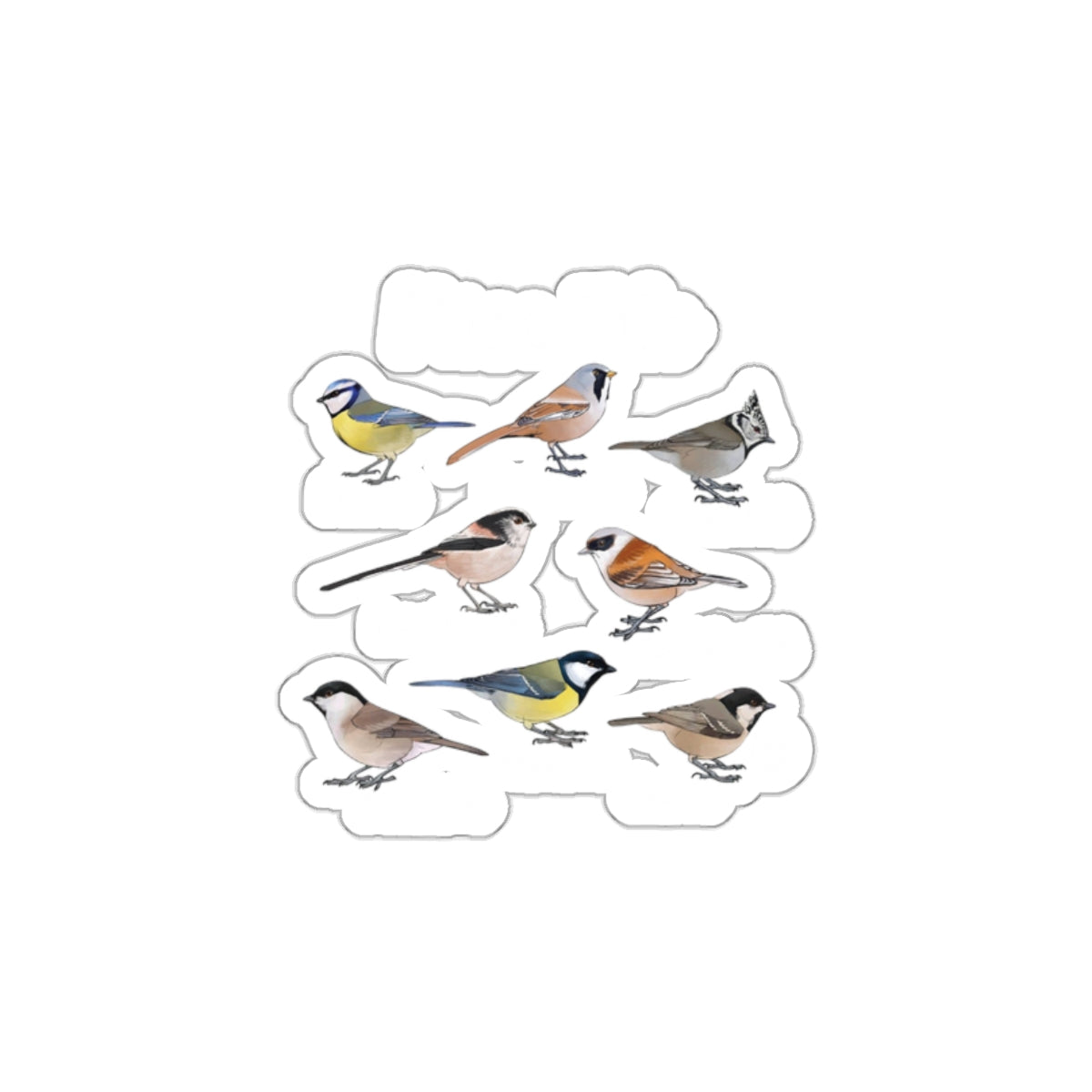 Assorted Colorful Birds Illustration Sticker Set