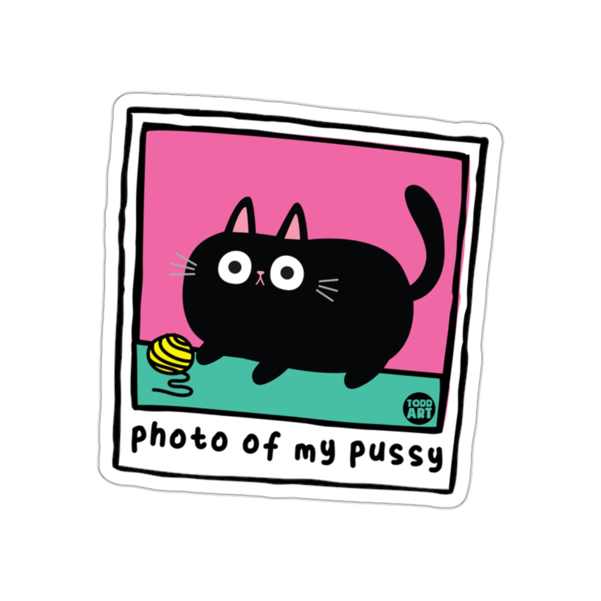 Photo Of My Pussy Black Cat Funny Pun Art sticker