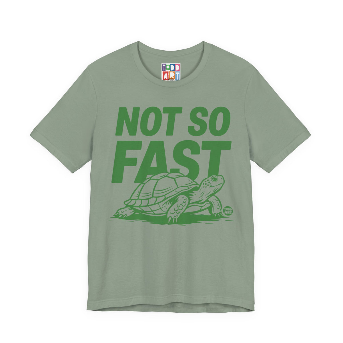 not-so-fast-turtle