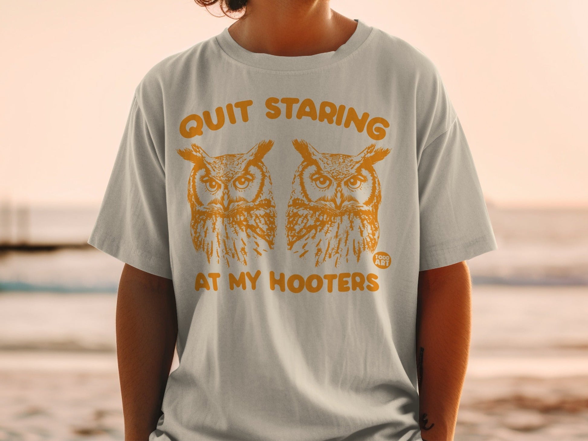 Gray t-shirt with two owls and text "Quit Staring At My Hooters".