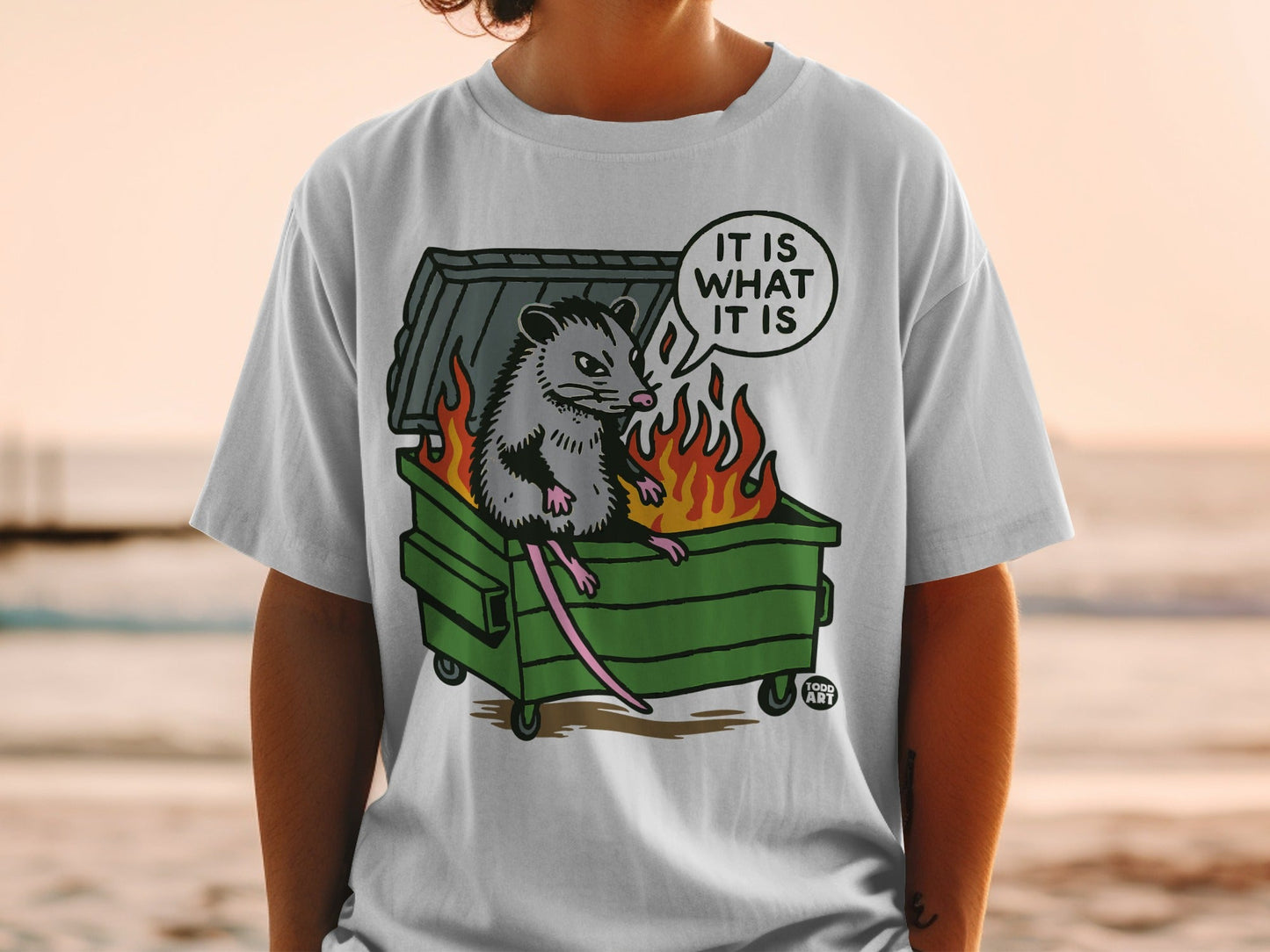 Opossum in dumpster on fire, "It Is What It Is" text in speech bubble.