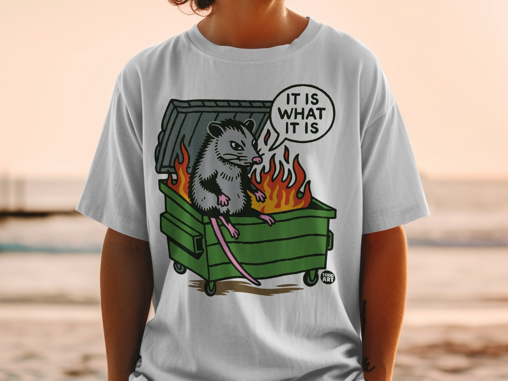 Opossum in dumpster on fire, "It Is What It Is" text in speech bubble.