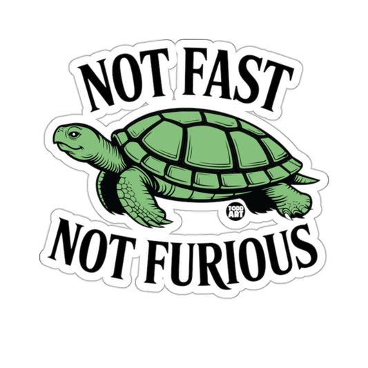Not Fast Not Furious Green Turtle Cartoon 