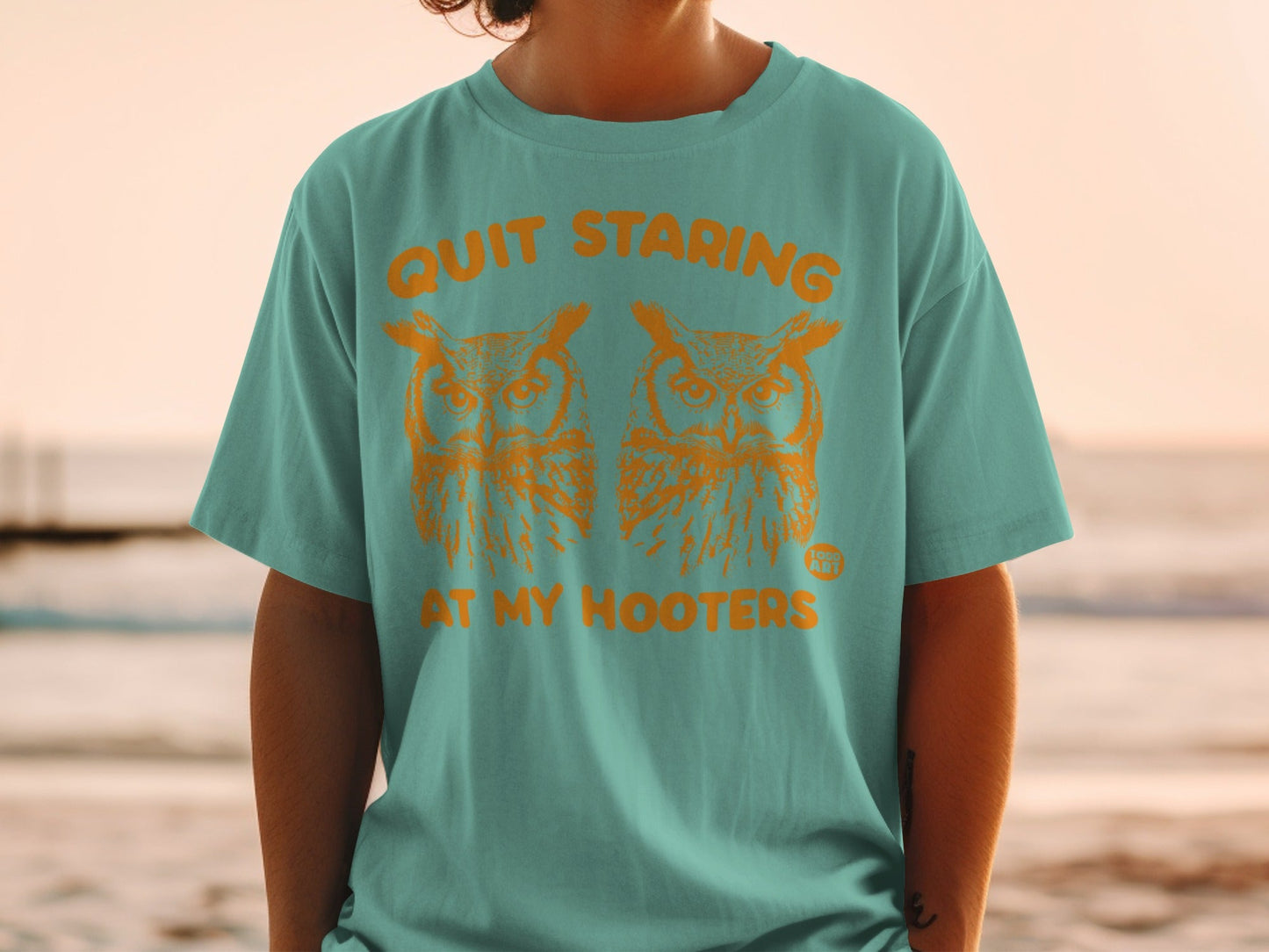 Teal t-shirt with orange graphic of two owls and text "Quit Staring At My Hooters".