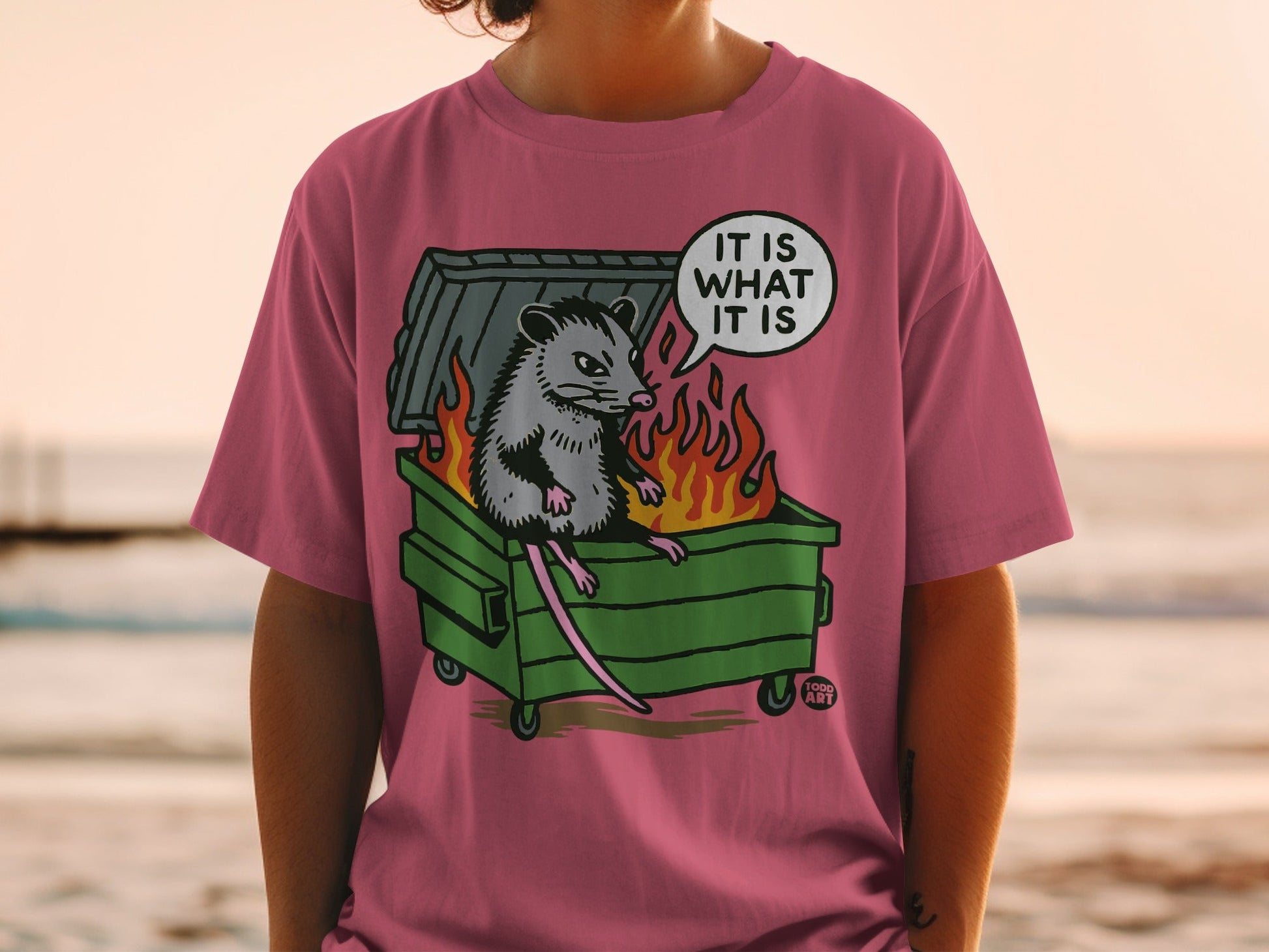 Opossum sitting in burning dumpster with text bubble "It is what it is."