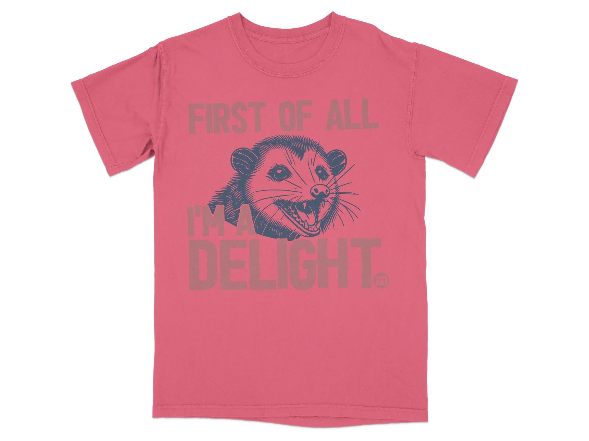 Pink t-shirt with opossum graphic and text "FIRST OF ALL, I'M A DELIGHT."