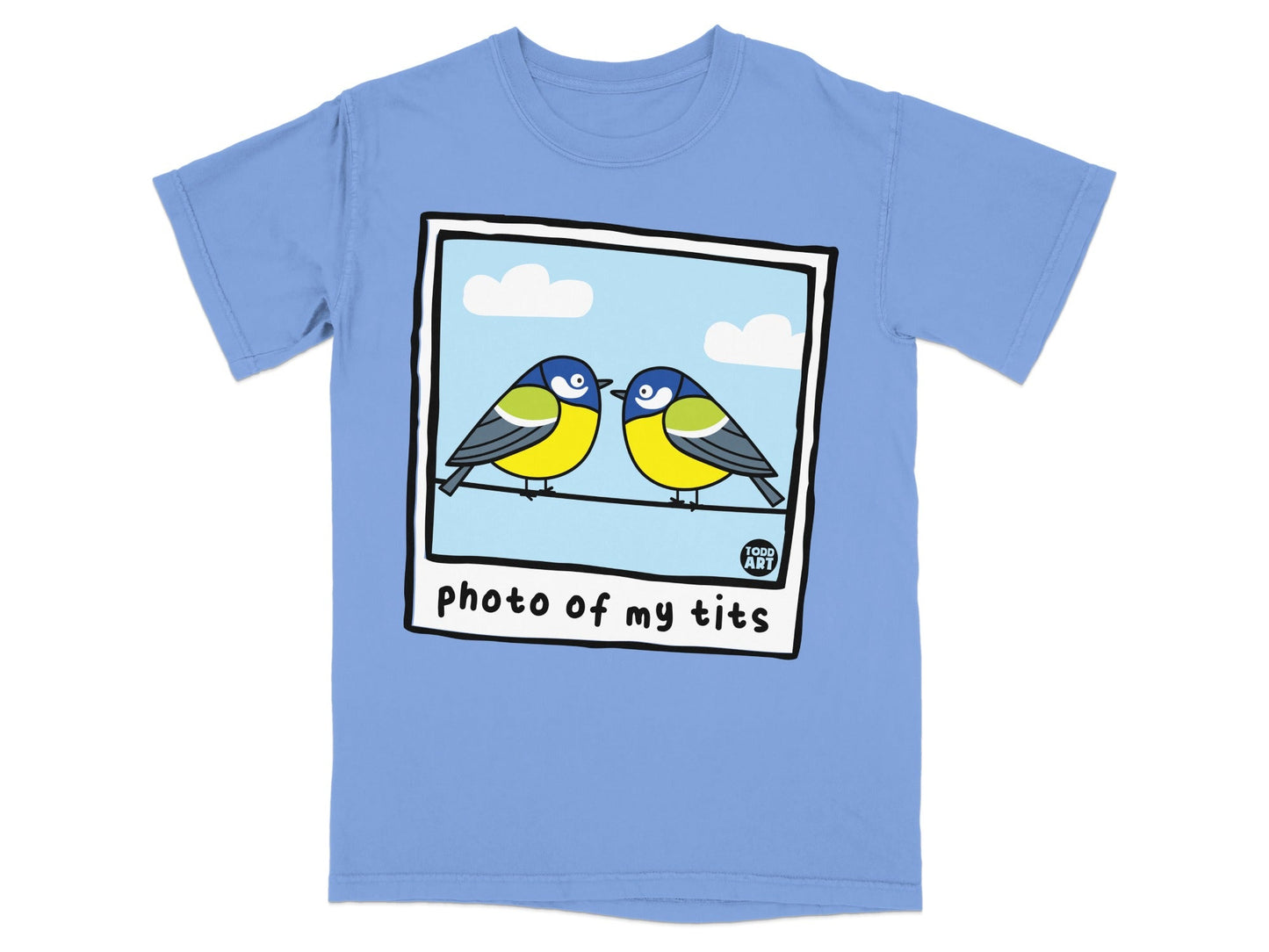 Two titmice birds on a wire with a cartoon polaroid frame and text.