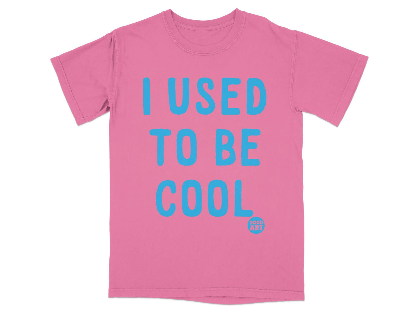 I Used To Be Cool Todd Art Message T-Shirt