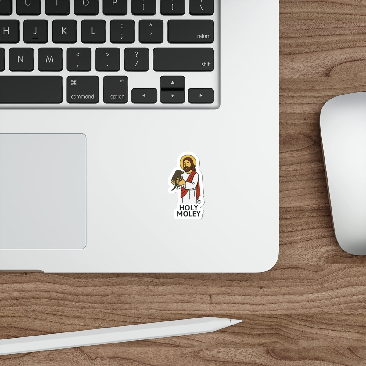 Holy Moley Cartoon Sticker for Laptops and Notebooks