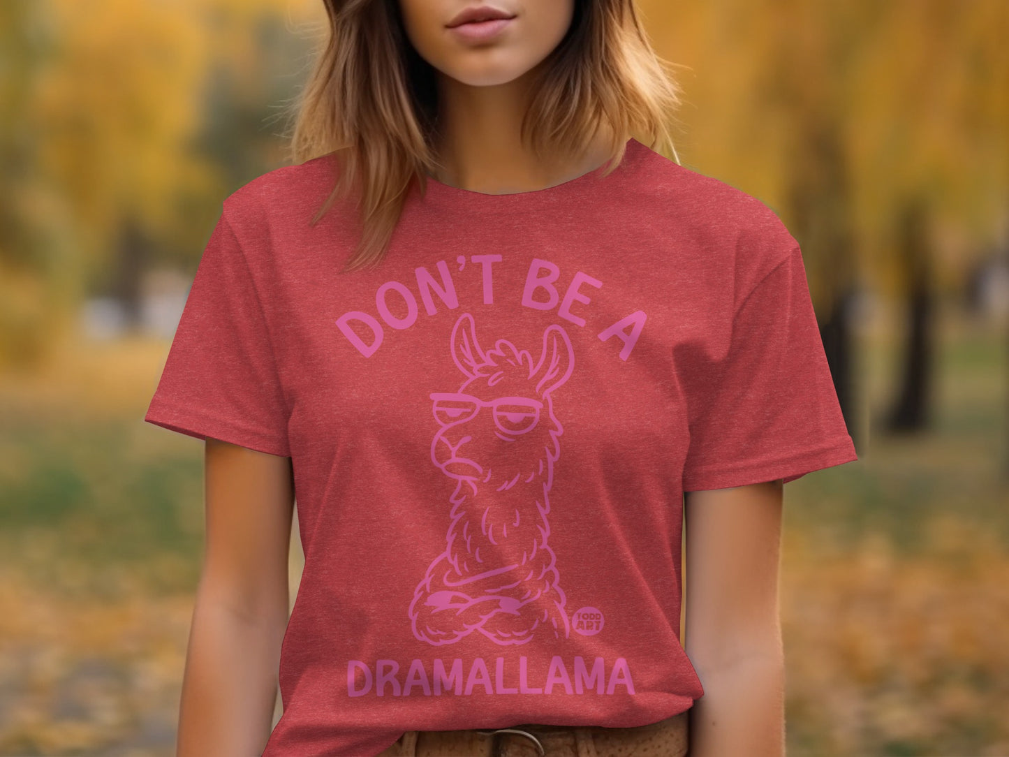 Don't Be a Dramallama Funny Quirky Graphic Tee Shirt