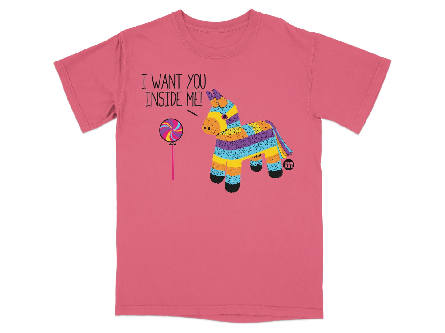 I Want You Inside Me Pinata Funny Graphic T-Shirt