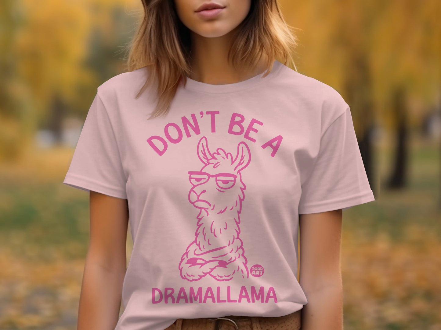 Don't Be a Dramallama Fun Graphic T-Shirt