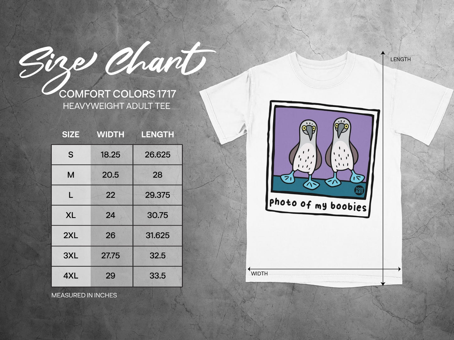 Size chart for Comfort Colors 1717 heavyweight adult tee with booby bird graphic.
