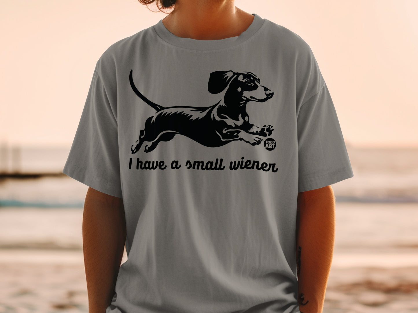 Cute Dachshund I Have A Small Wiener T-shirt