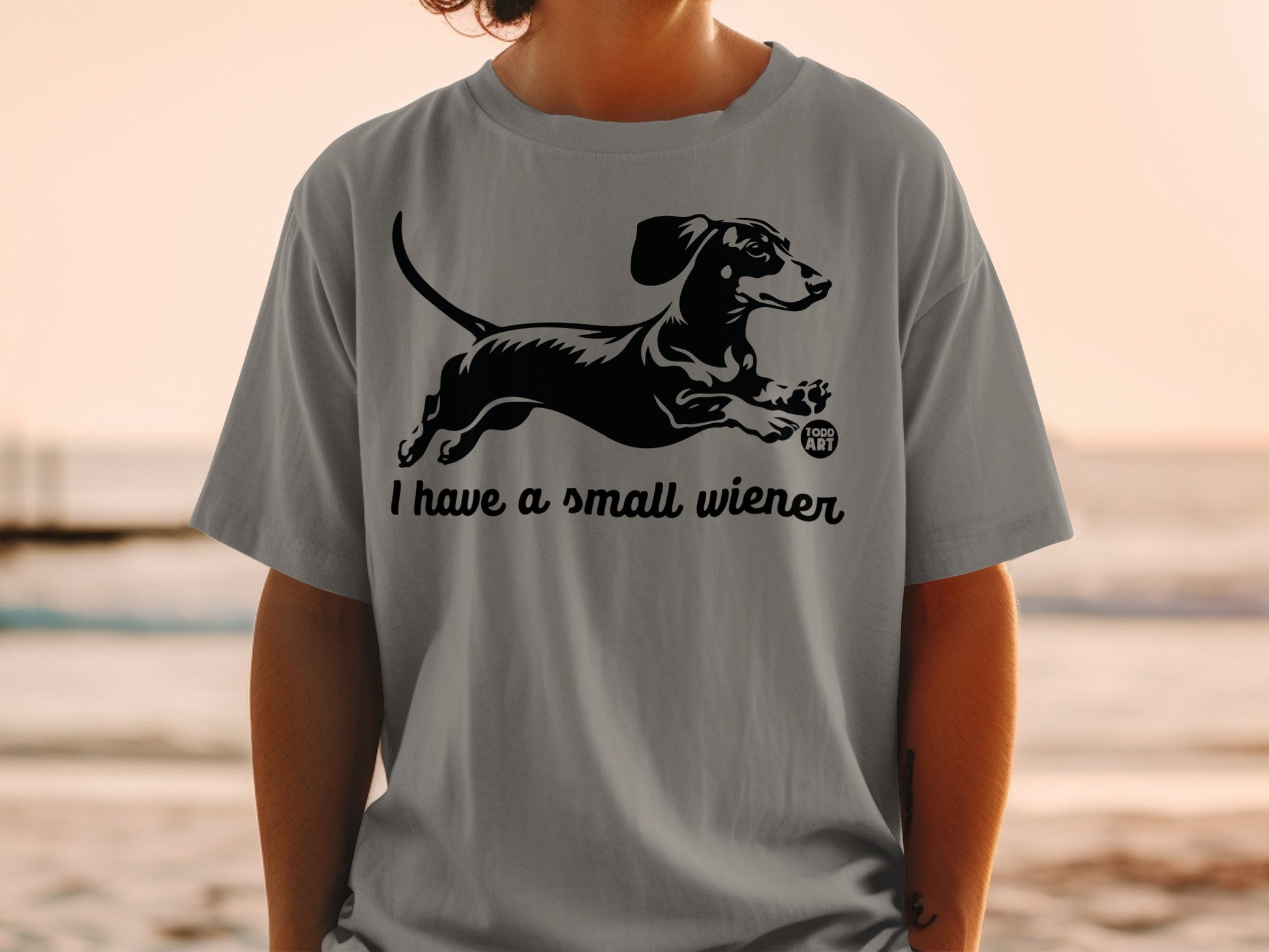 Cute Dachshund I Have A Small Wiener T-shirt