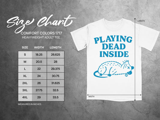 Comfort Colors 1717 size chart for heavyweight adult tee with measurements.