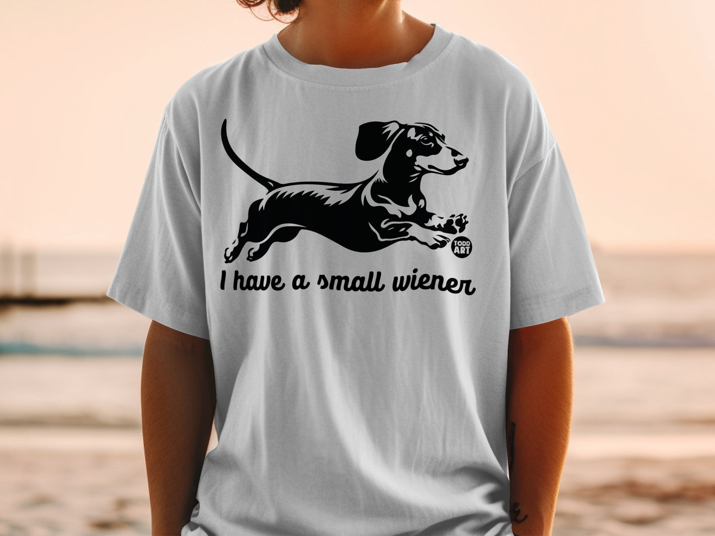 I Have A Small Wiener Funny Dachshund T-Shirt