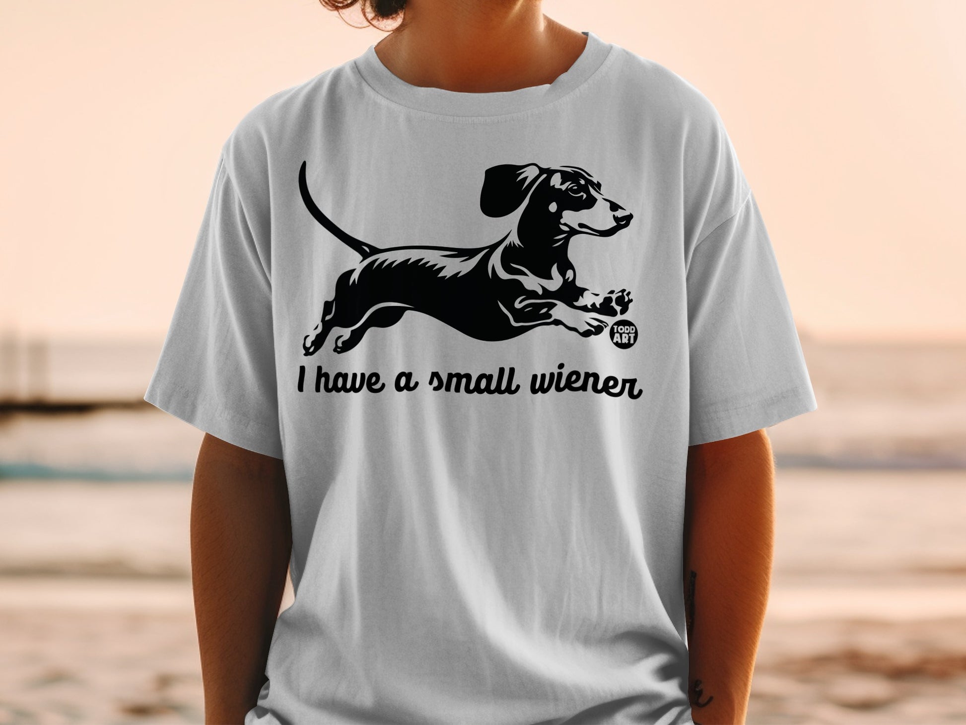 I Have A Small Wiener Funny Dachshund T-Shirt