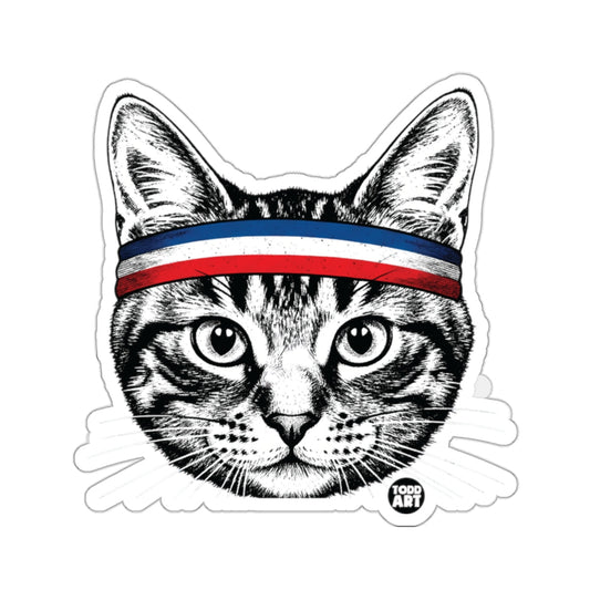 Cat headband blue white red stripe design 