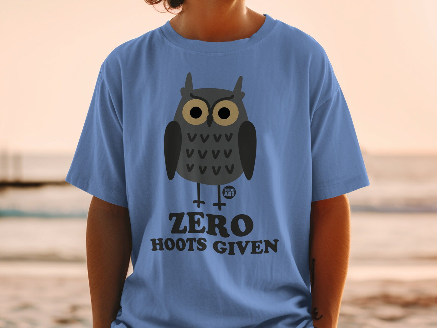 Blue t-shirt with cartoon owl and "ZERO HOOTS GIVEN" text.