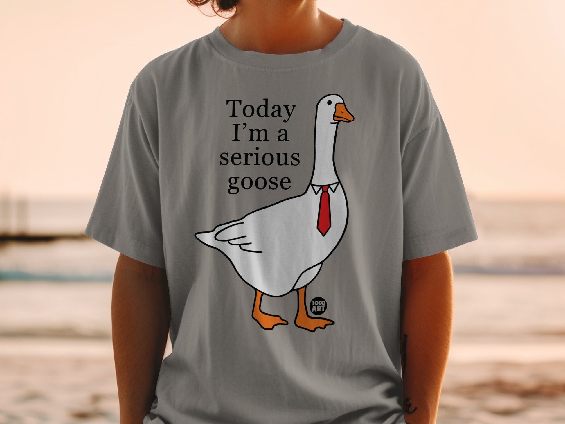 Today I'm a Serious Goose Graphic T-Shirt