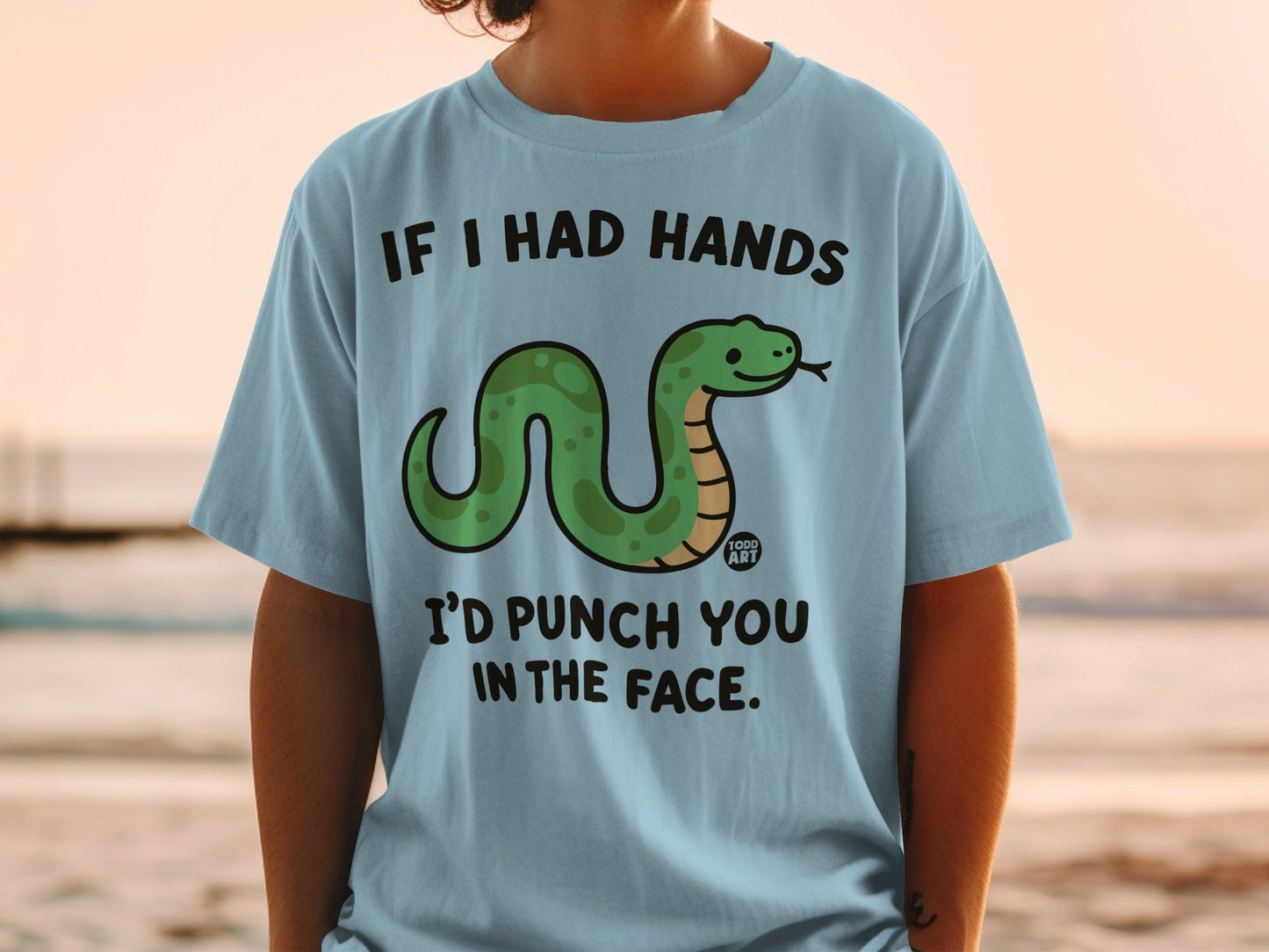 Light blue t-shirt with a cartoon snake and text reading "If I had hands I'd punch you in the face."
