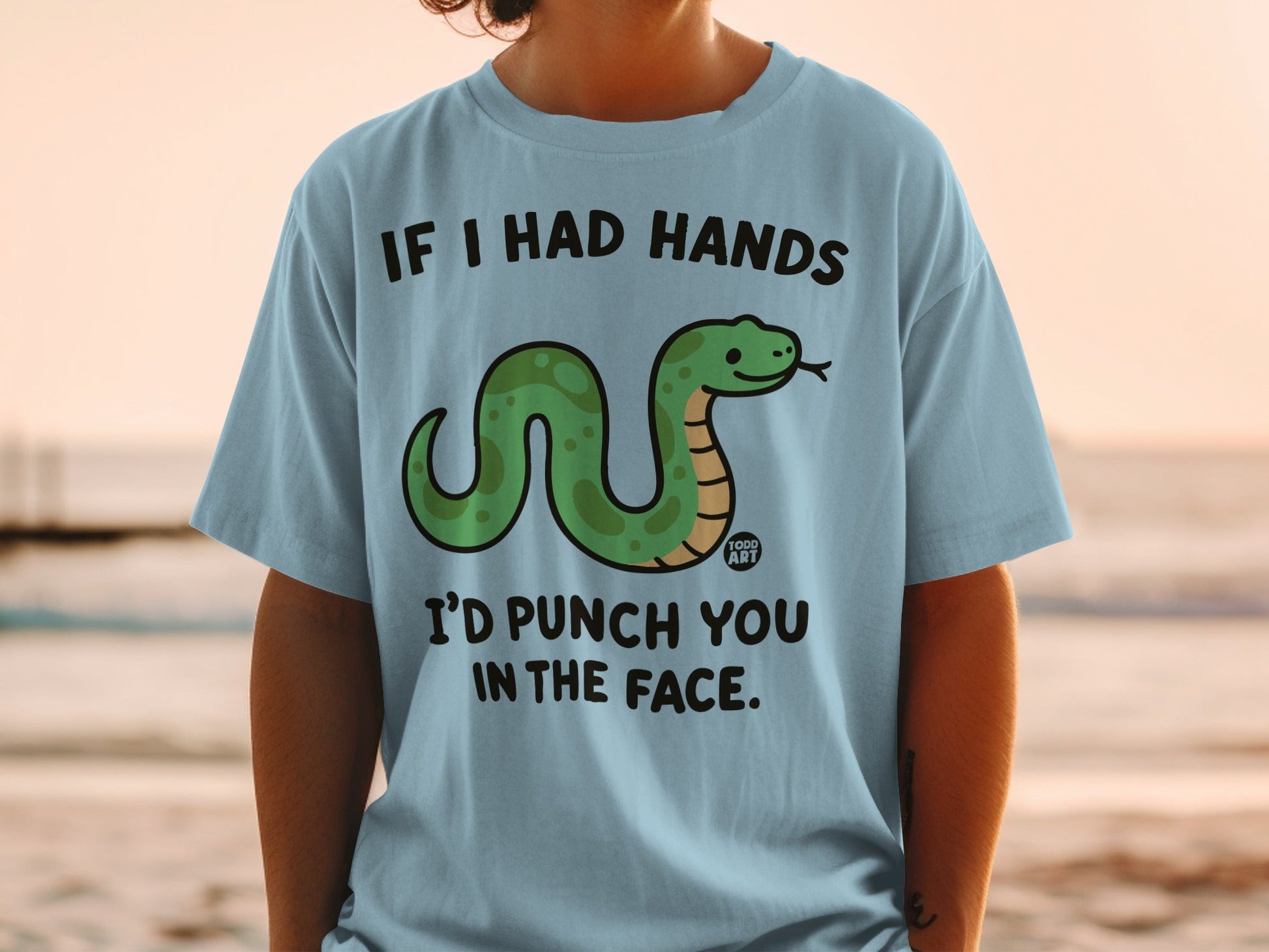 Light blue t-shirt with a cartoon snake and text reading "If I had hands I'd punch you in the face."