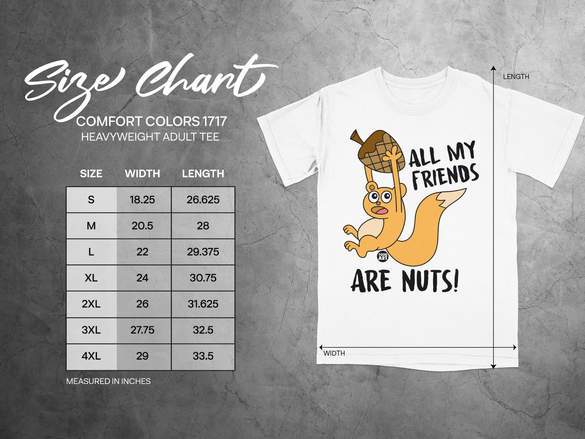 Comfort Colors 1717 heavyweight adult tee size chart with cartoon squirrel.