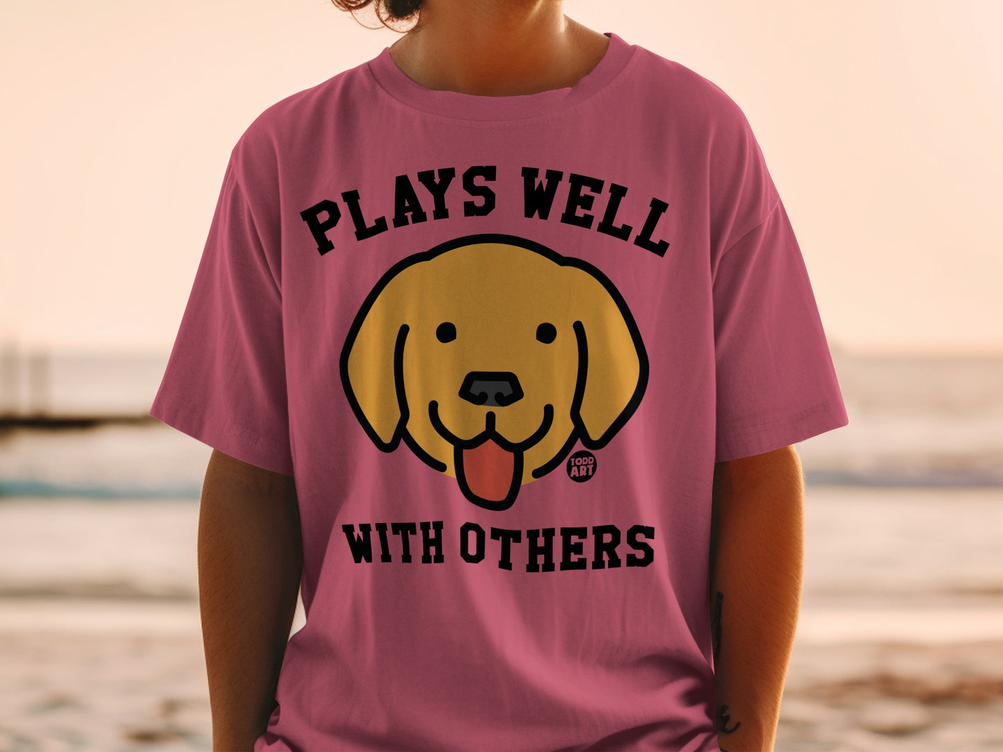 Plays Well With Others Todd Art Graphic T-shirt