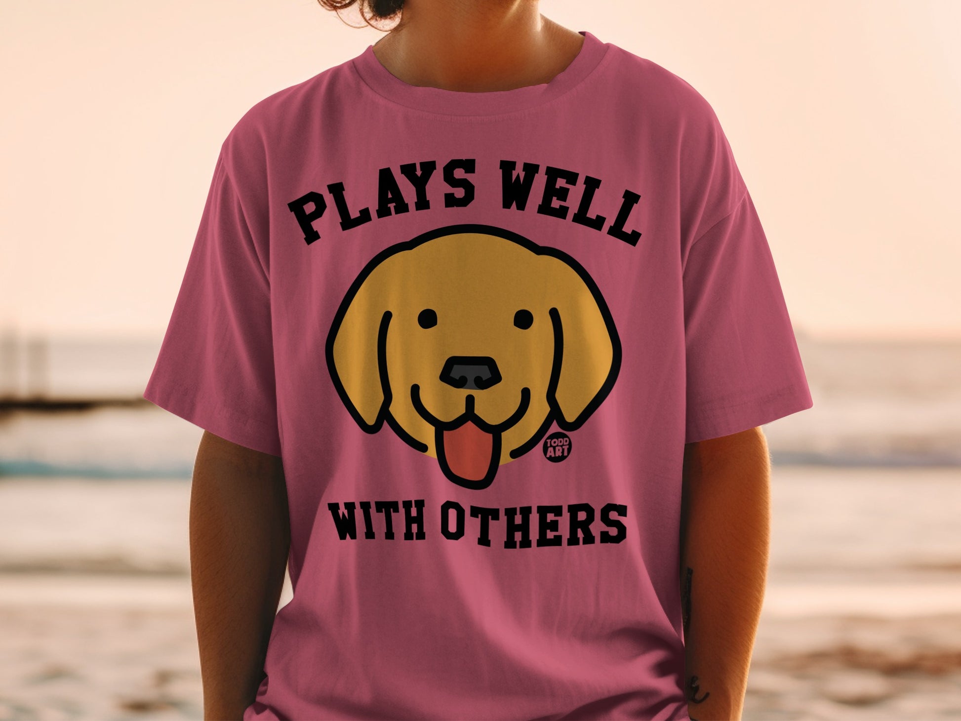Plays Well With Others Todd Art Graphic T-shirt