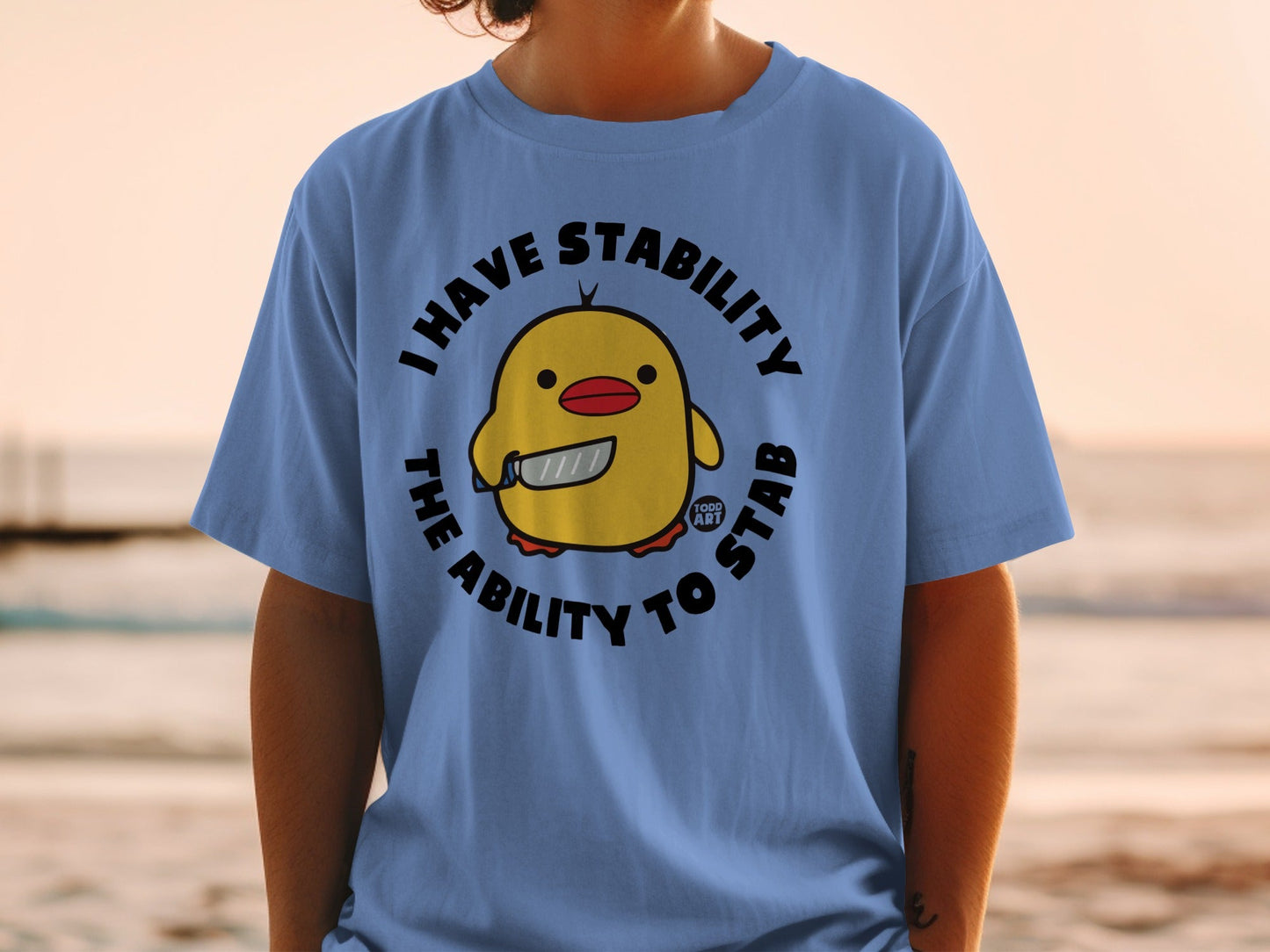 I Have Stability The Ability To Stab Funny T-Shirt