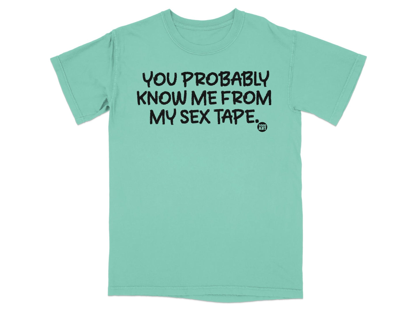You Probably Know Me From My Sex Tape T-shirt