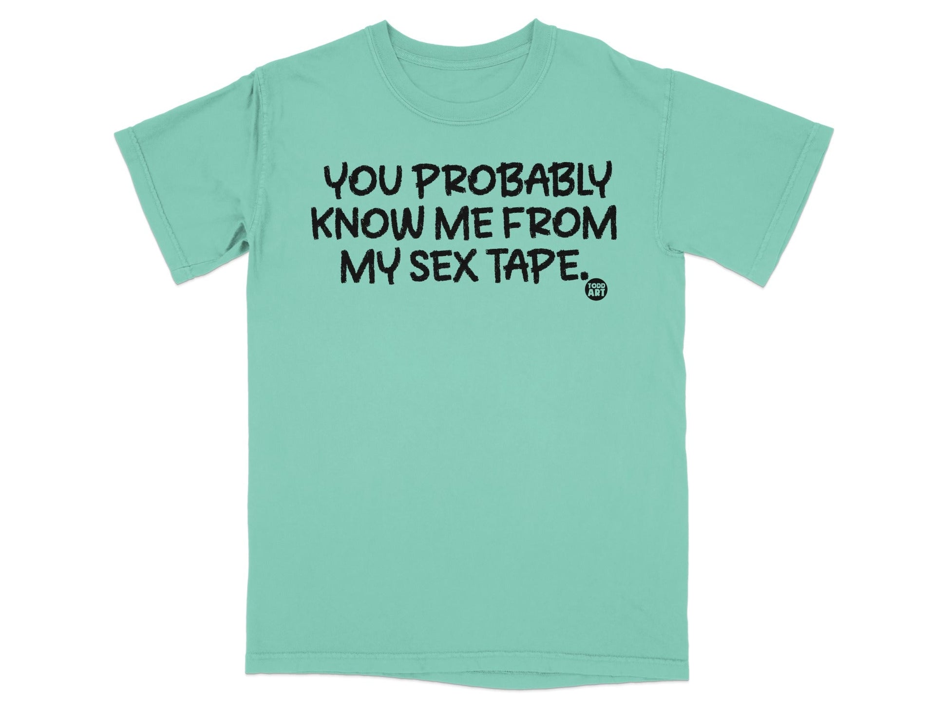 You Probably Know Me From My Sex Tape T-shirt